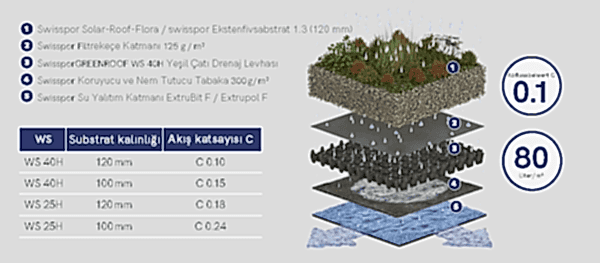 yeşil çatı katmanları
